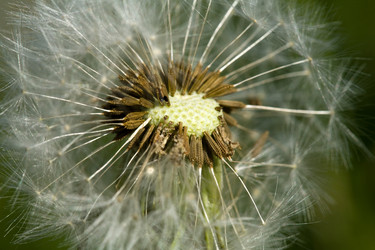 Similar image 1178201