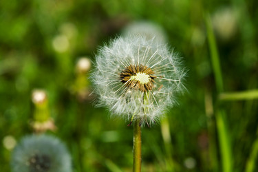 Similar image 1178207