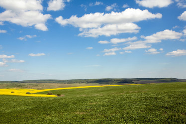 Similar image 1178245