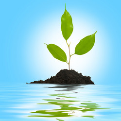 Similar image 1178247