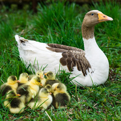 Similar image 1178249