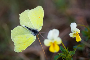 Similar image 1178254