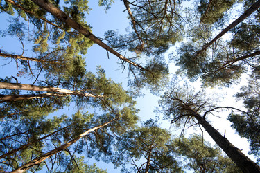 Similar image 1178276