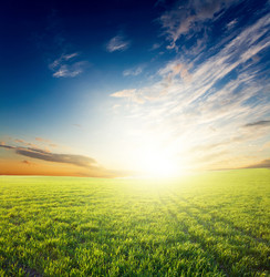 Similar image 1178288