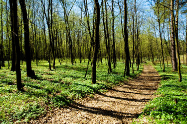 Similar image 1178290