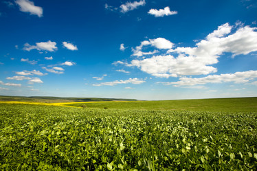 Similar image 1178291