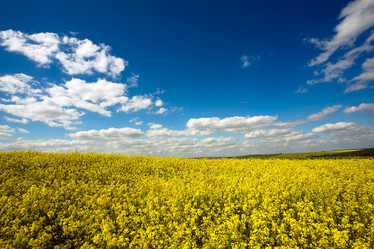 Similar image 1178302