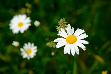 Similar image 1178303