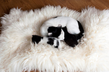 Similar image 1178312