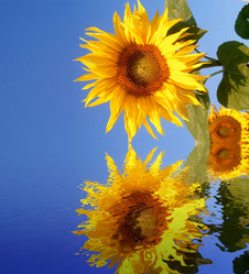 Similar image 1178326