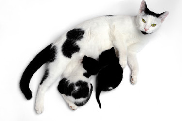 Similar image 1178328