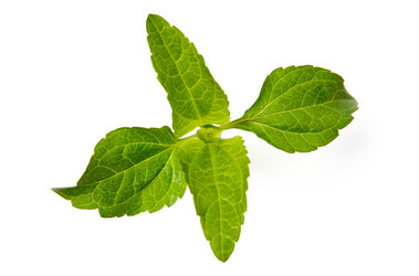 Similar image 1178337