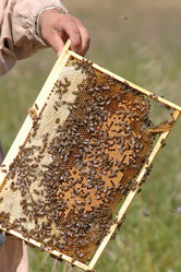 Similar image 1178353