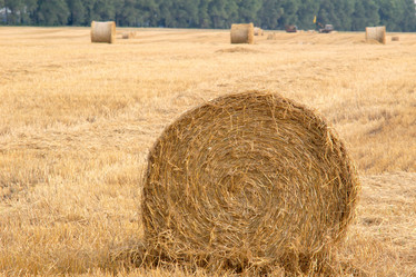 Similar image 1178363