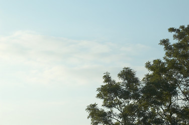 Similar image 1178373