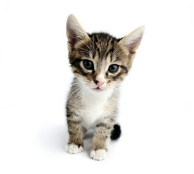 Similar image 1178381