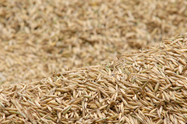 Similar image 1178397