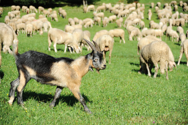 Similar image 1178398