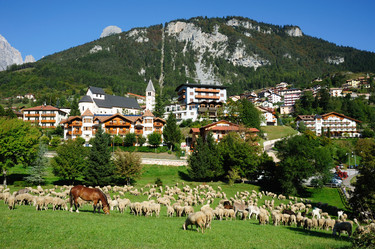 Similar image 1178409