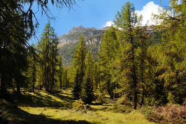 Similar image 1178434