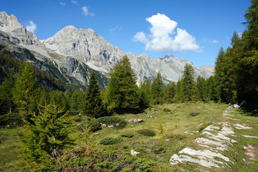 Similar image 1178436