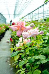 Similar image 1178440