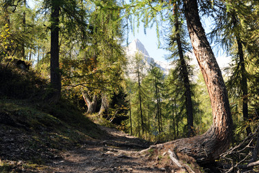 Similar image 1178491