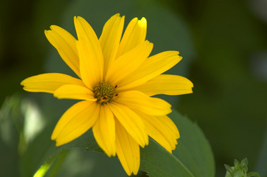 Similar image 1178492