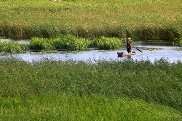 Similar image 1178501