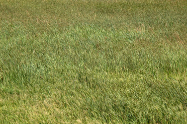 Similar image 1178509