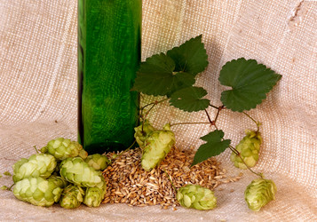 Similar image 1178516