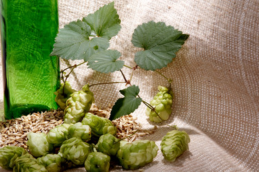 Similar image 1178518