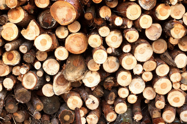 Similar image 1178520