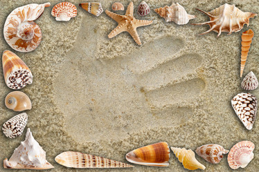 Similar image 1178530