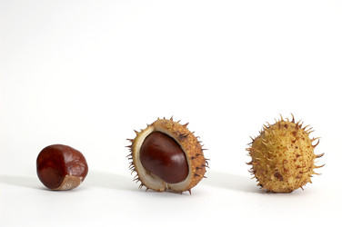 Similar image 1178644