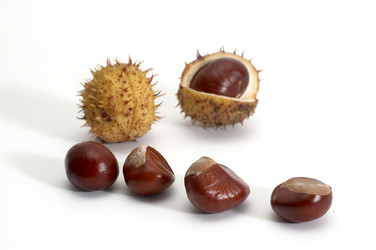 Similar image 1178645