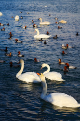 Similar image 1178652