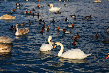 Similar image 1178654