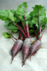 Similar image 1178685