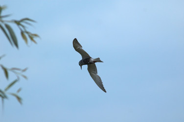 Similar image 1178690