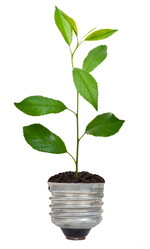 Similar image 1178726