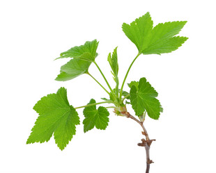 Similar image 1178730