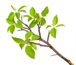 Similar image 1178731