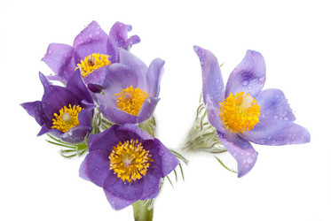 Similar image 1178740