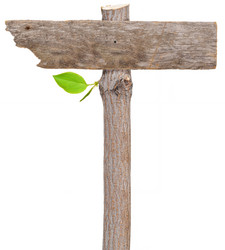 Similar image 1178741