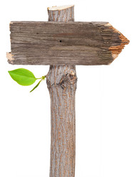 Similar image 1178762