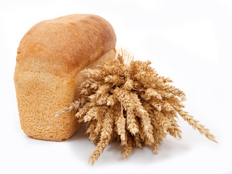 Similar image 1178767