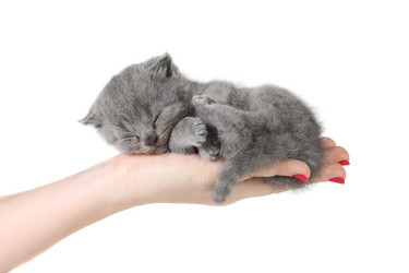 Similar image 1178857