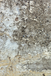 Similar image 1178951