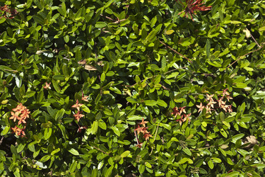 Similar image 1179022